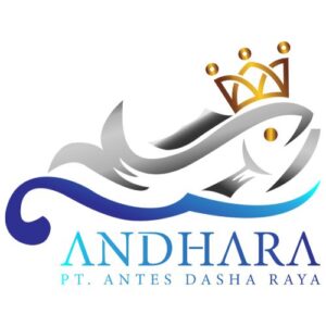 nilai perusahaan ANDHARA LET